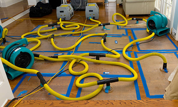 Professional Water Damage Repair technician working in Stevens Point, WI